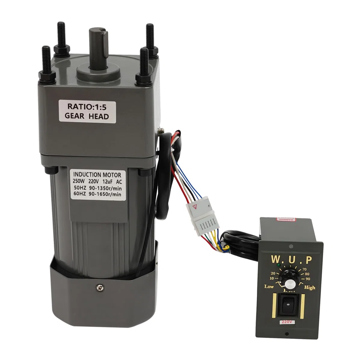250W Getriebemotor 230V mit Drehzahlregler