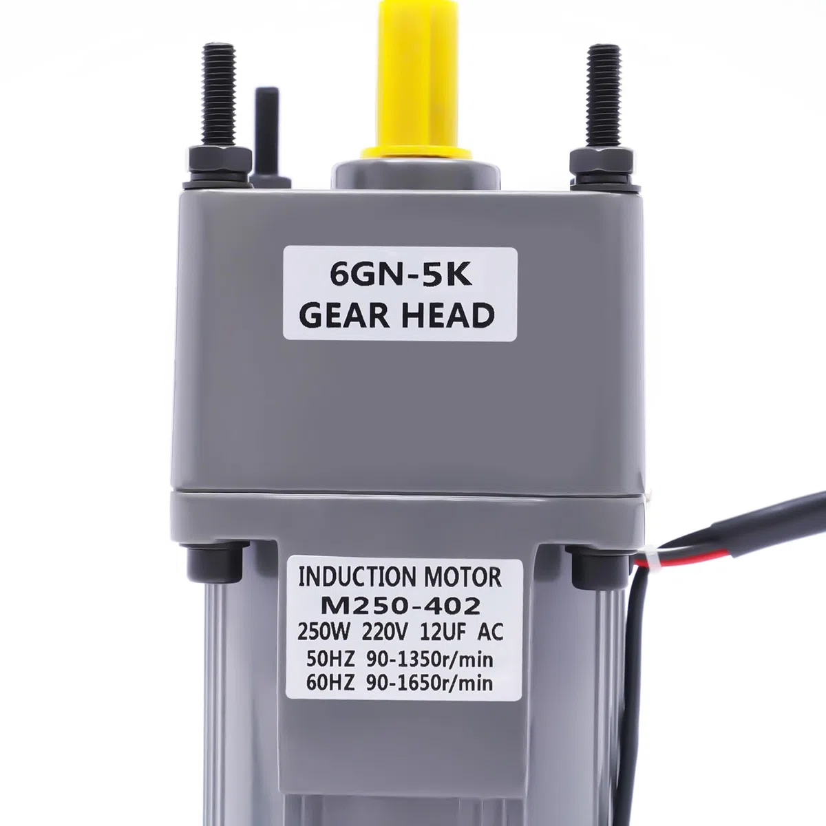250W Getriebemotor 230V mit Drehzahlregler