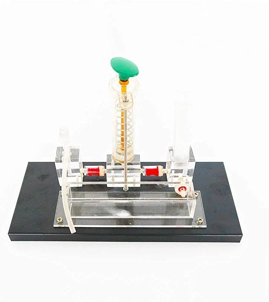 Pädagogisches Wissenschaft Modell Physik Experiment Lehre Instrument Experimentelle Ausrüstung Übertragung Modell Presse,